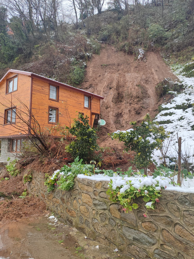 Aa Picture 20250220 37114861 (1)