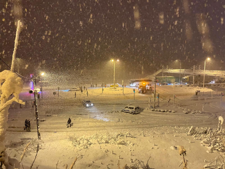 Aa Picture 20250224 37157552