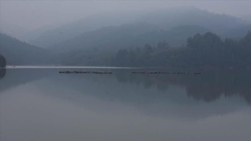 Thumbs B C 0A2D6B495D9Cf055F84980Fb3Fdf3909