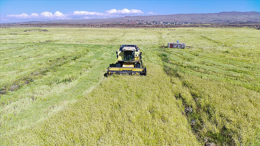 Thumbs B C 4110C4062Ef5913D0Abd93C4F8344Bef