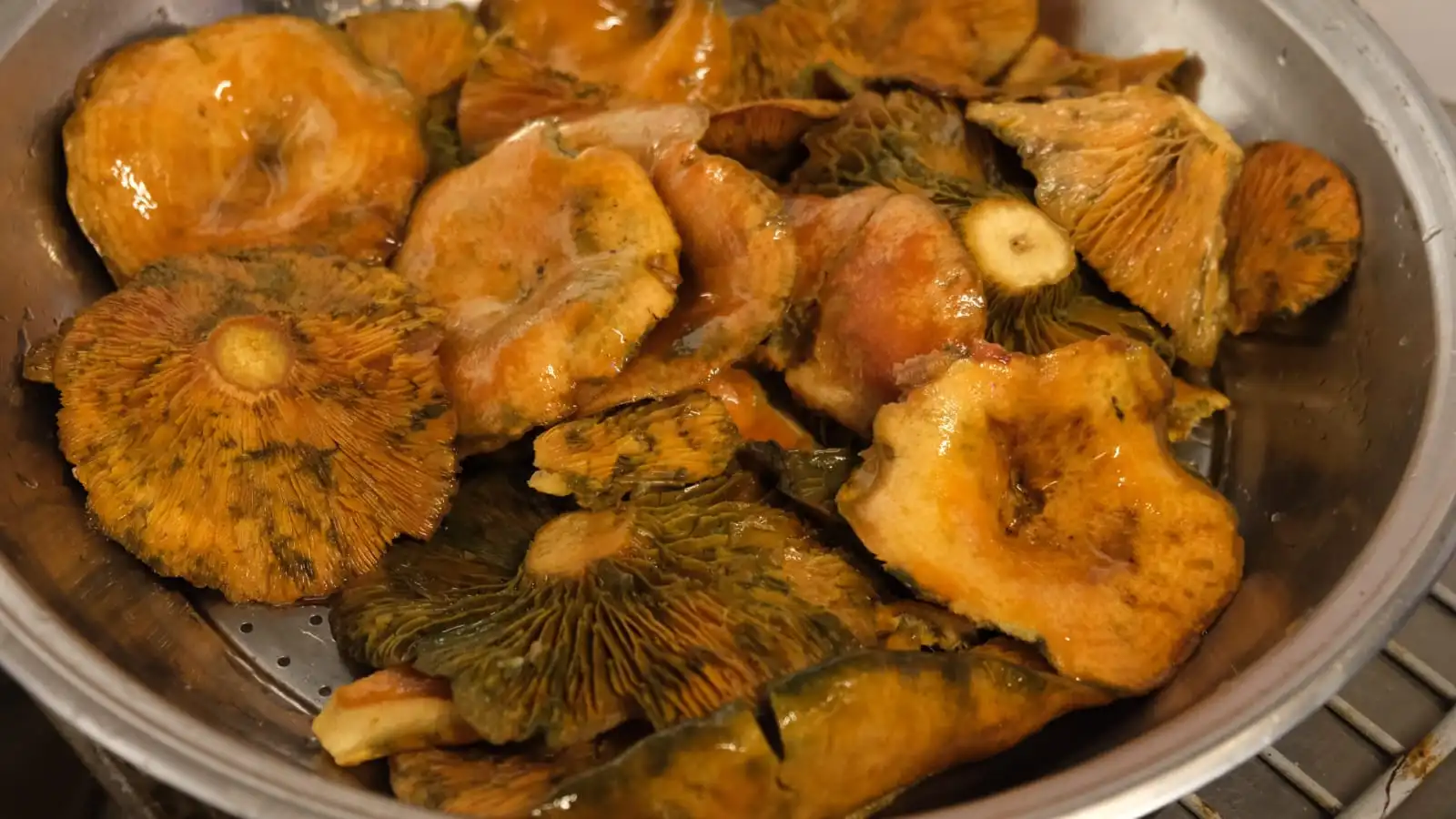 Whats App Image 2025 02 12 At 16.41.53 1