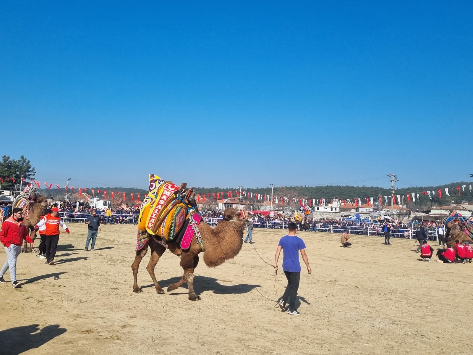 Whatsapp Image 2025 02 02 At 15.14.39