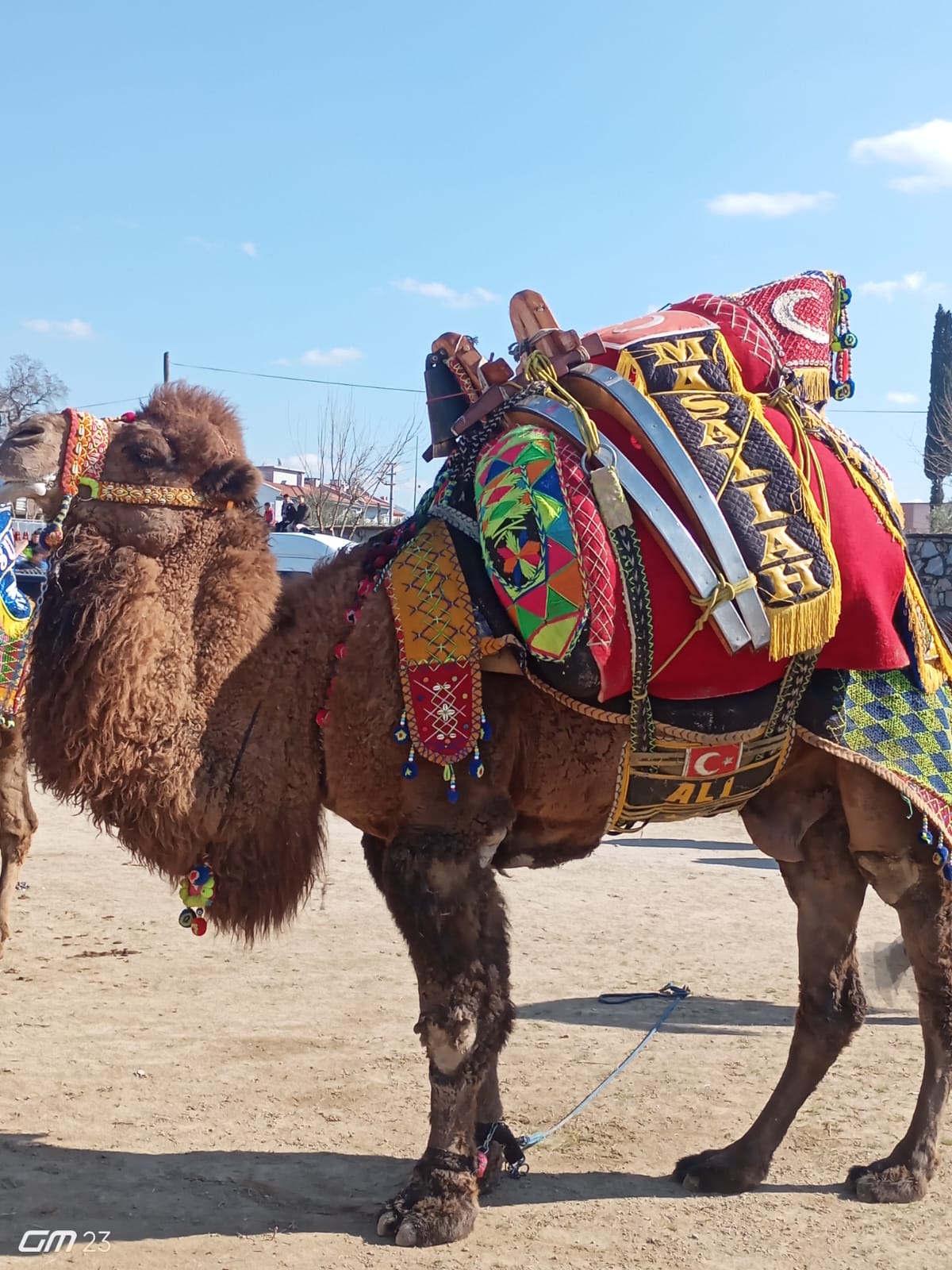 Whatsapp Image 2025 02 02 At 15.14.55