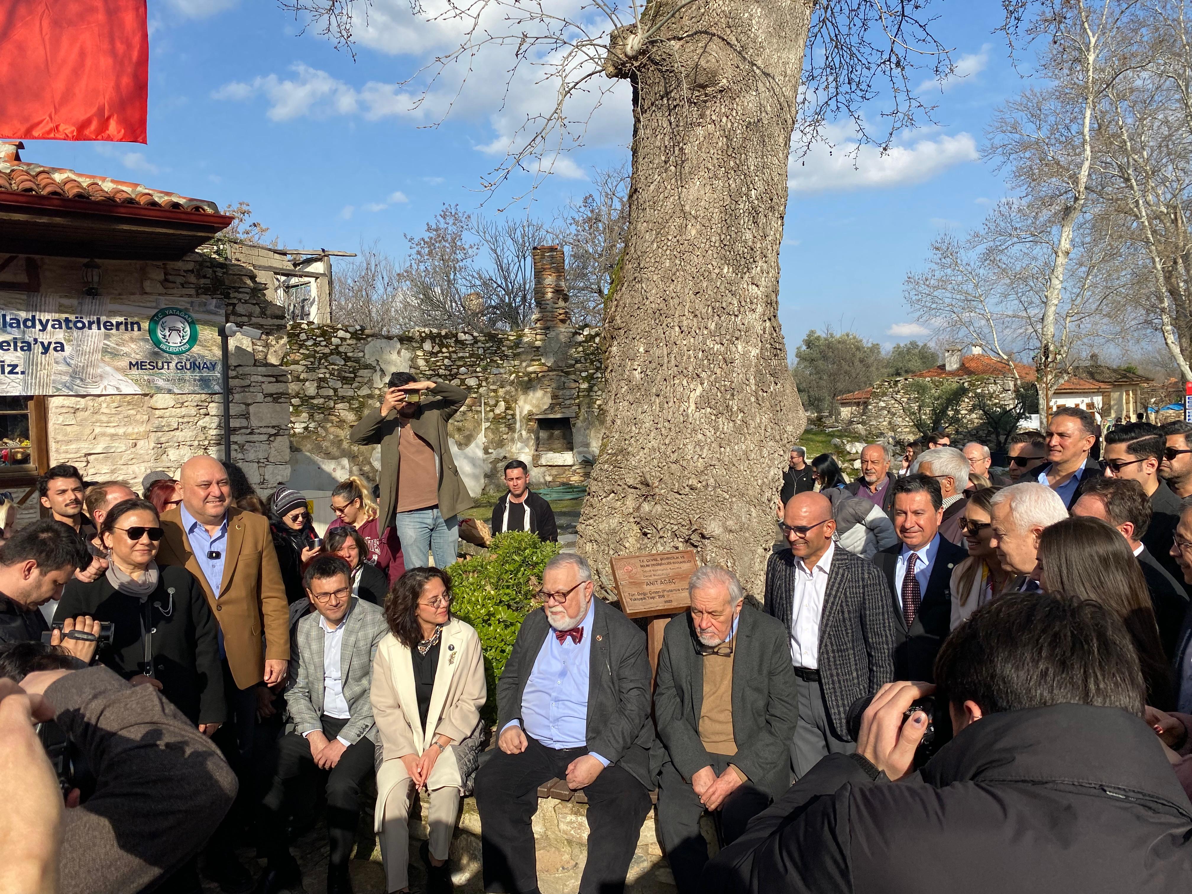 Whatsapp Image 2025 02 03 At 16.41.58