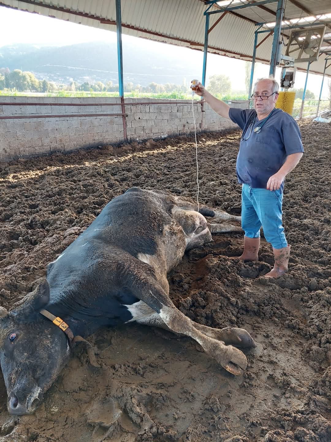 Whatsapp Image 2025 02 04 At 12.59.03