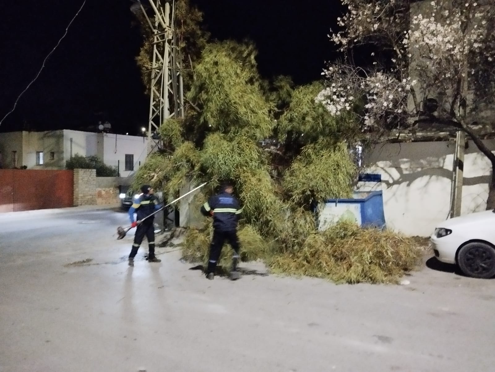 Whatsapp Image 2025 02 06 At 13.02.38