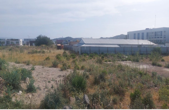 Whatsapp Image 2025 02 06 At 16.16.35