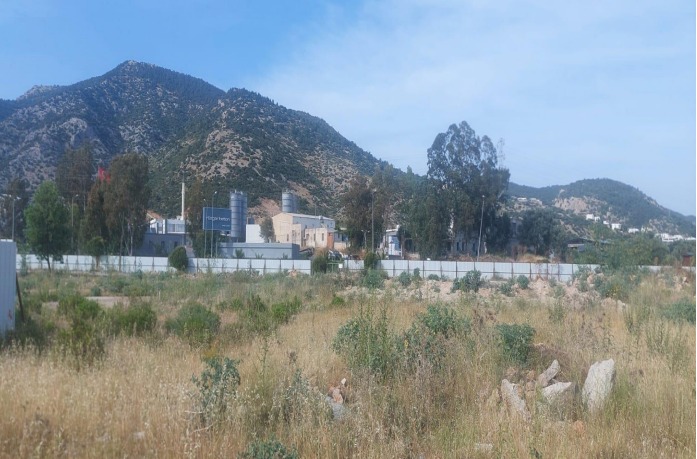 Whatsapp Image 2025 02 06 At 16.16.36 (1)