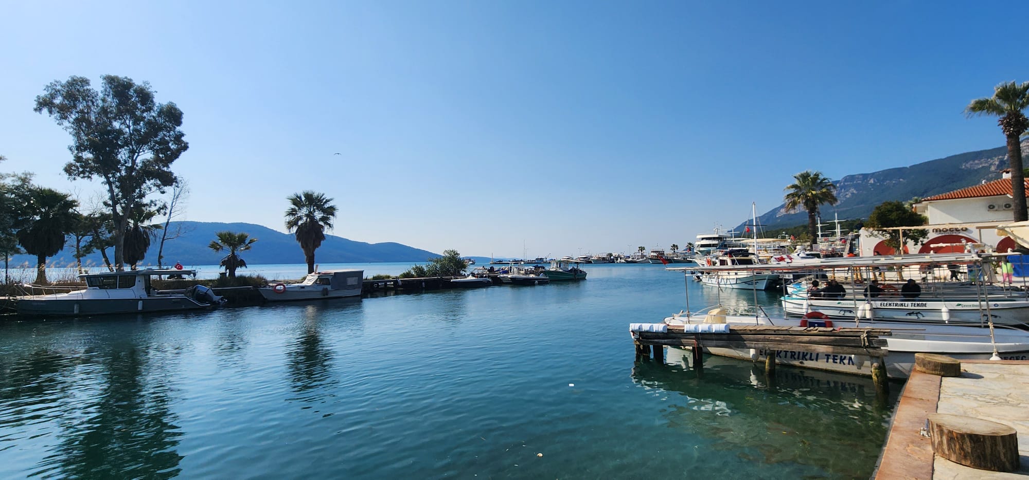 Whatsapp Image 2025 02 09 At 14.33.29