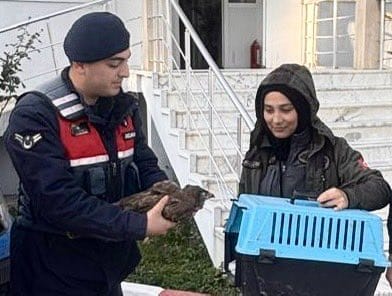 Whatsapp Image 2025 02 10 At 10.07.24 (1)