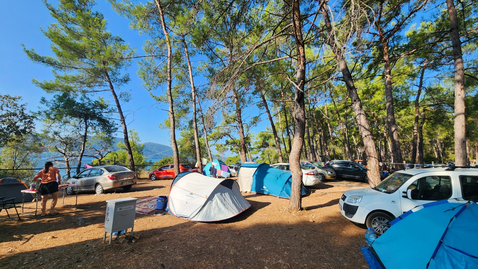 Whatsapp Image 2025 02 10 At 12.08.32