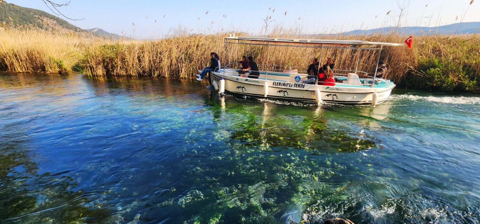 Whatsapp Image 2025 02 11 At 11.01.14