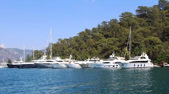 Whatsapp Image 2025 02 12 At 10.44.53 (1)