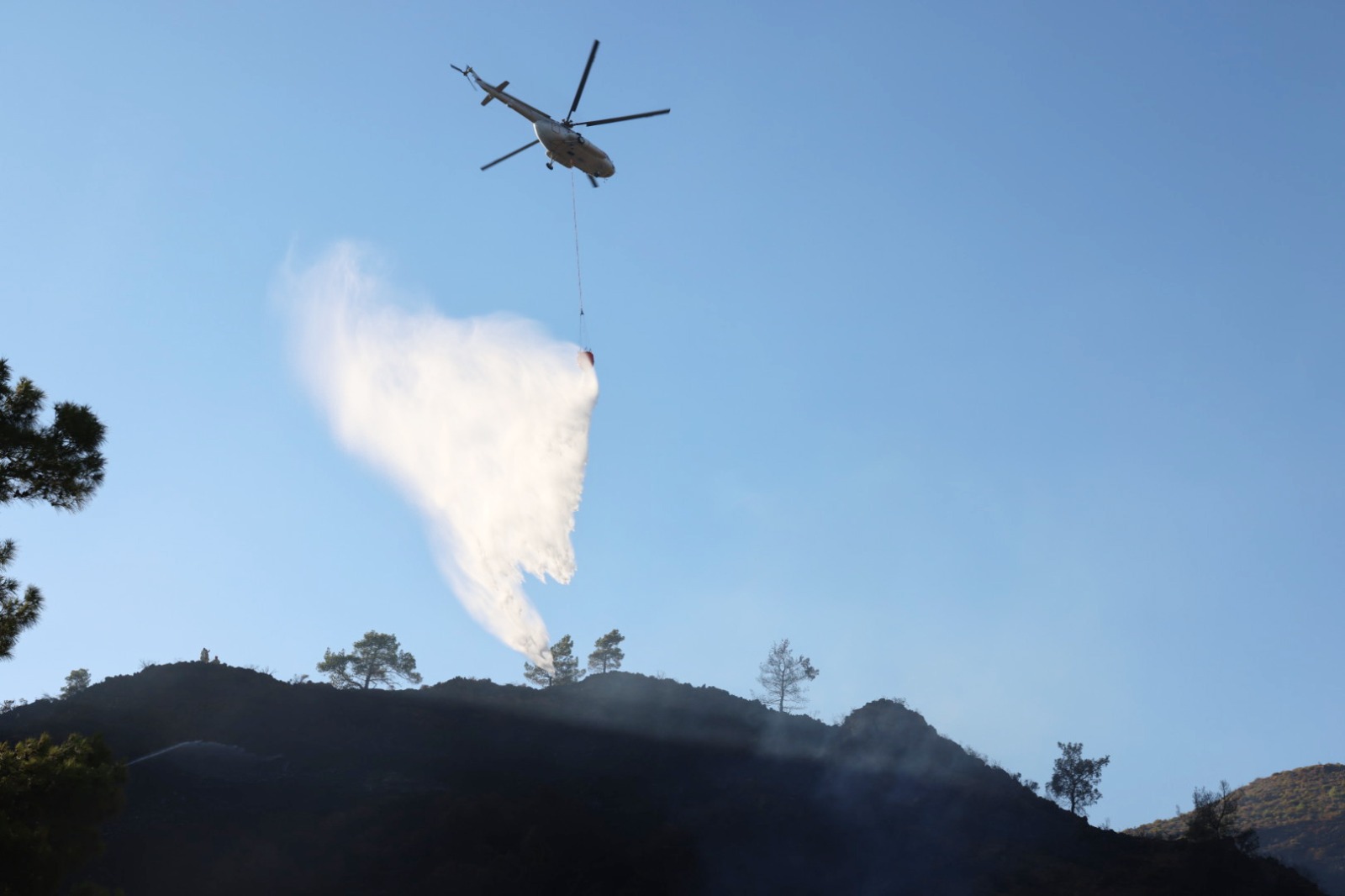 Whatsapp Image 2025 02 13 At 11.53.56