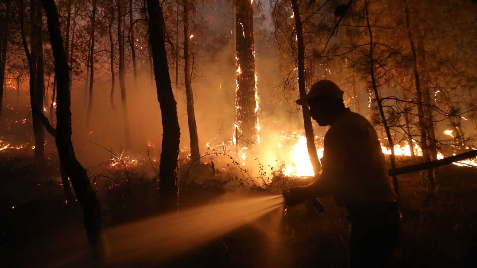 Whatsapp Image 2025 02 13 At 11.53.58