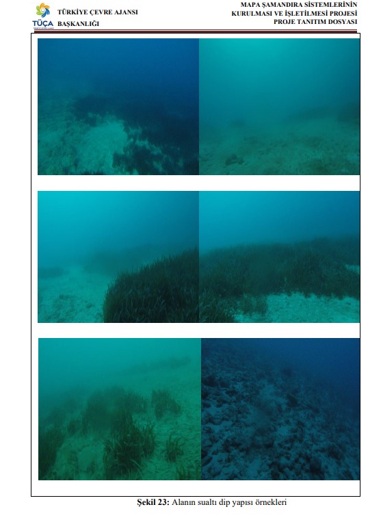 Whatsapp Image 2025 02 17 At 12.23.45 (1)