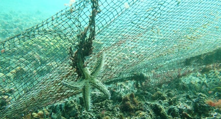 Whatsapp Image 2025 02 18 At 10.25.59 (1)