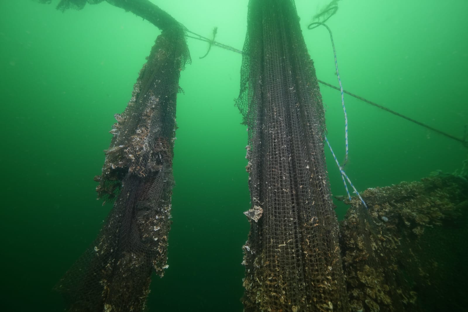 Whatsapp Image 2025 02 18 At 10.25.59