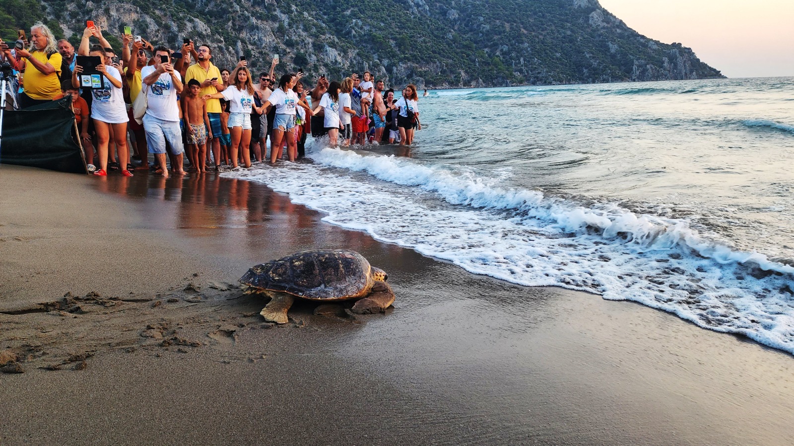 Whatsapp Image 2025 02 19 At 12.30.16 (2)