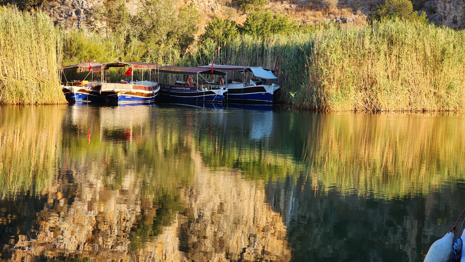 Whatsapp Image 2025 02 19 At 12.30.17 (1)