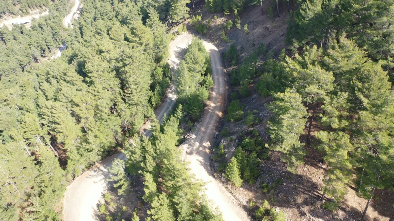 Whatsapp Image 2025 02 19 At 17.11.40