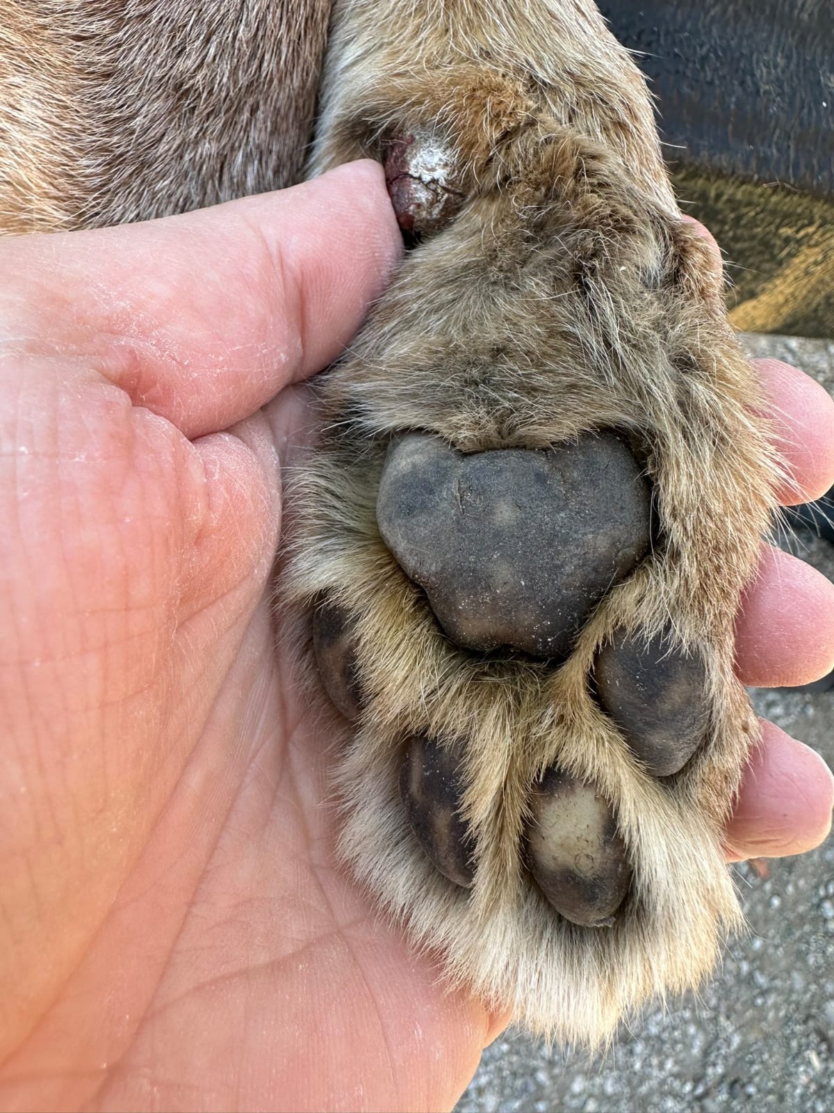 Whatsapp Image 2025 02 21 At 09.44.53