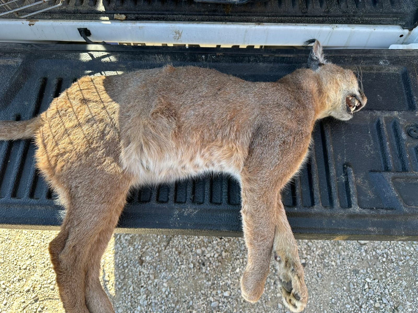 Whatsapp Image 2025 02 21 At 09.44.55