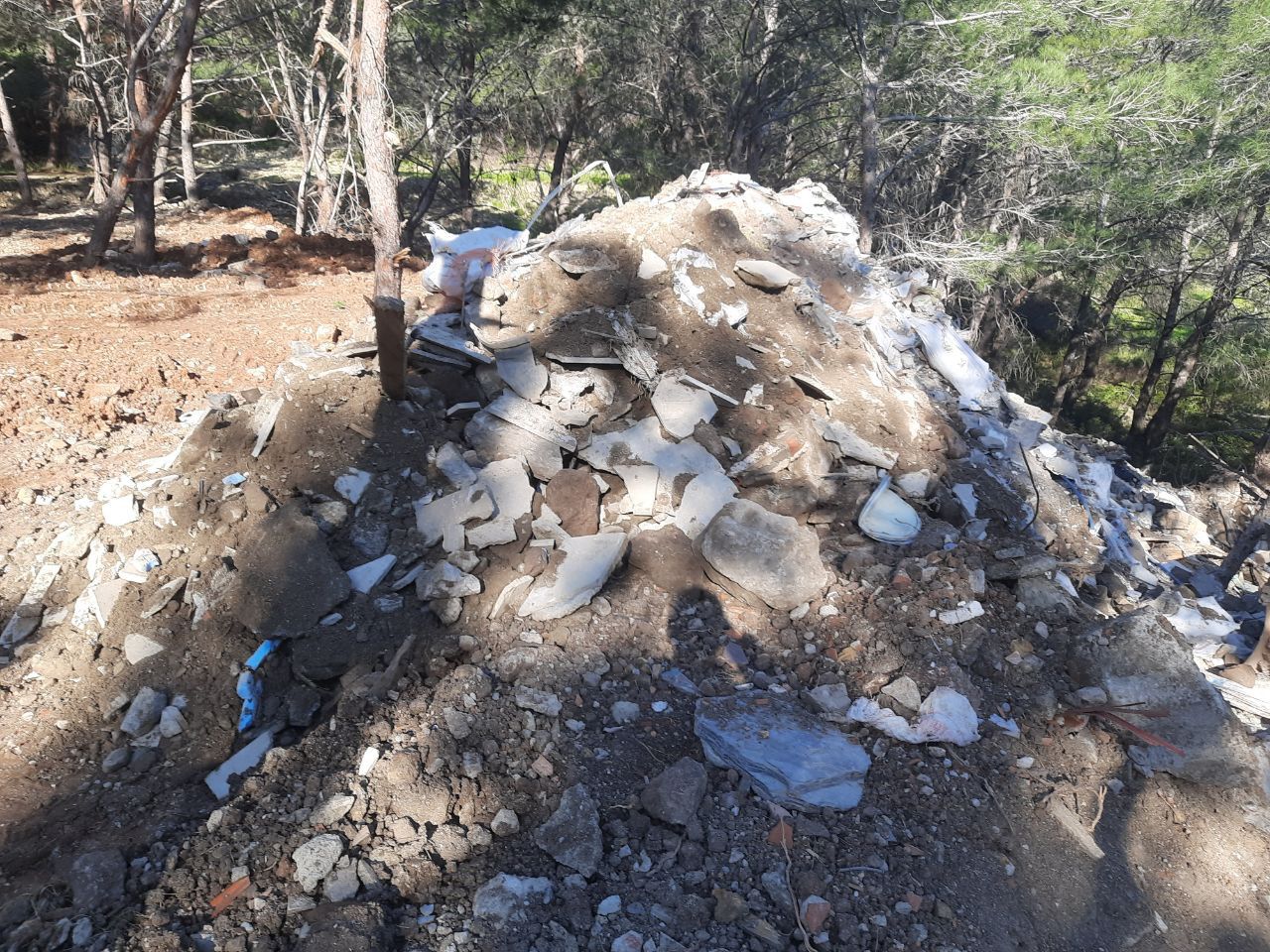 Whatsapp Image 2025 02 21 At 10.32.39