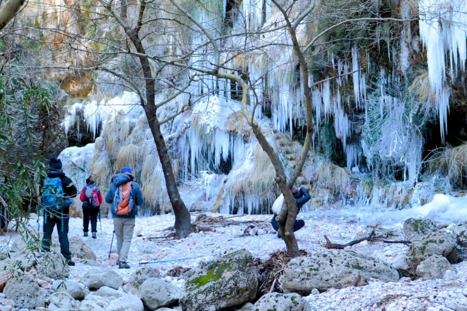 Whatsapp Image 2025 02 24 At 13.05.28 (1)