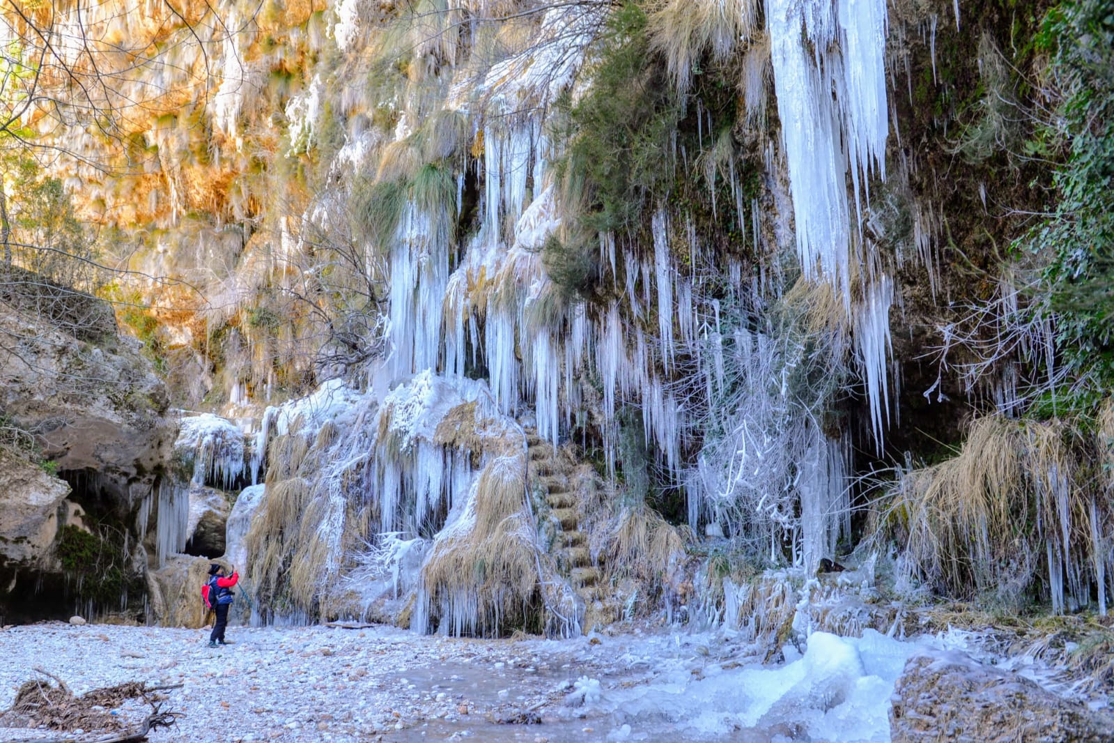 Whatsapp Image 2025 02 24 At 13.05.28 (2)