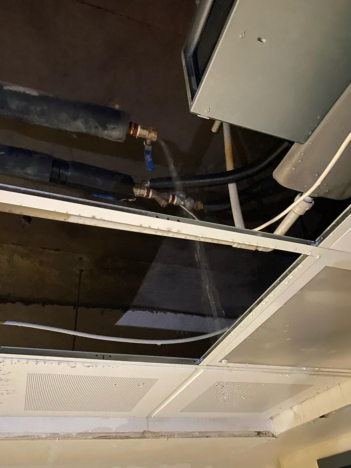 Whatsapp Image 2025 02 24 At 23.19.07