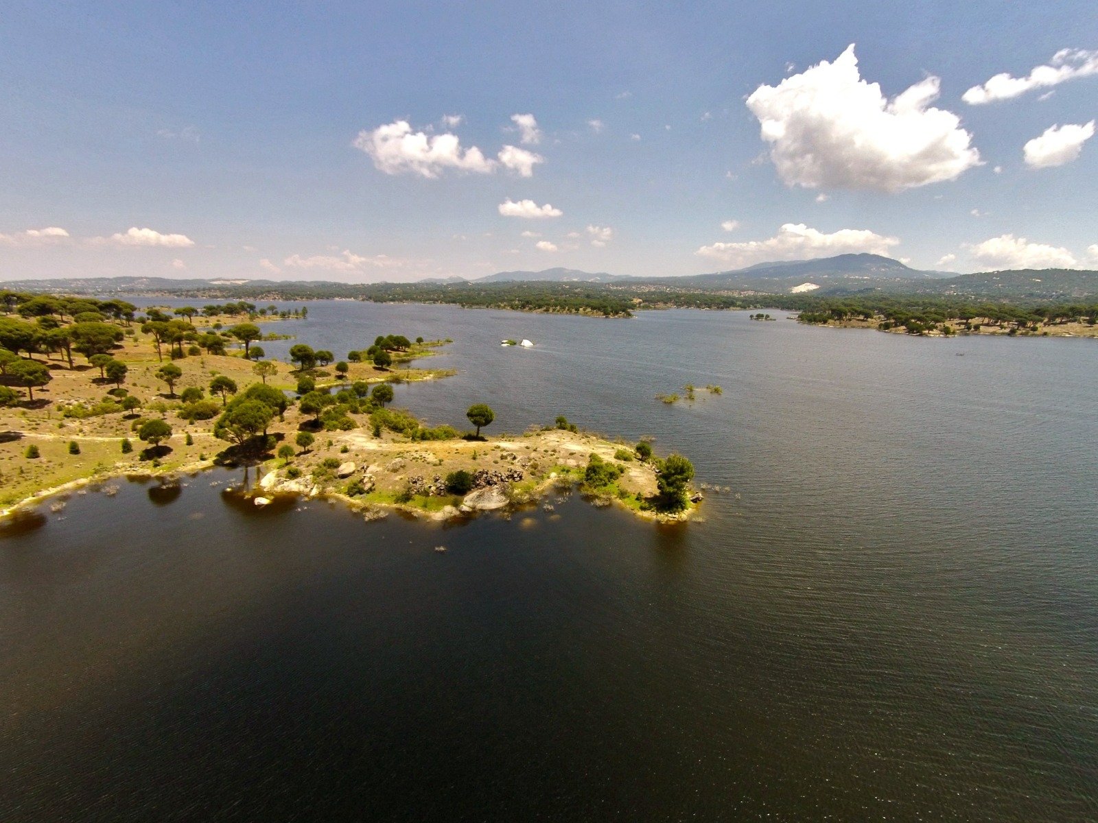 Whatsapp Image 2025 02 25 At 10.59.44