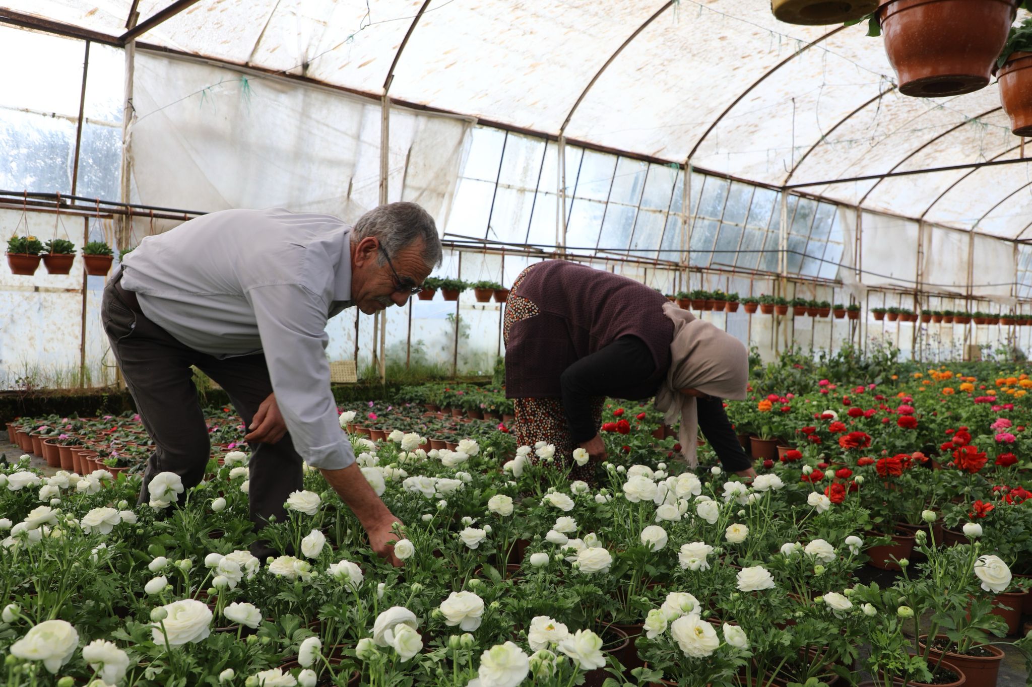 Whatsapp Image 2025 02 26 At 13.27.42