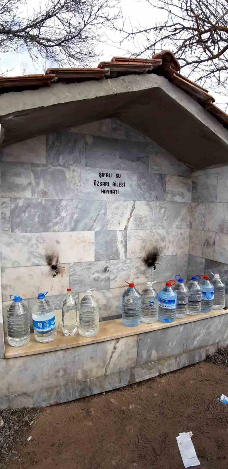 20250305Aw405787 3 (1)