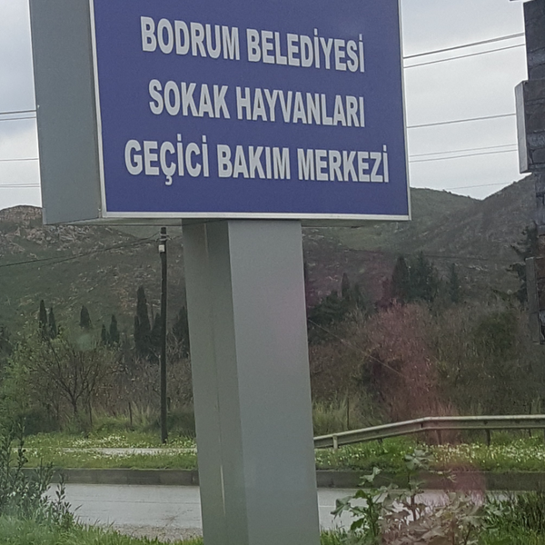 45755084 O Qd Z K4M A F O Ck D A3 O Q4Y X Bi Nmz O4 Gqt Who Bmo9 Vvu Q