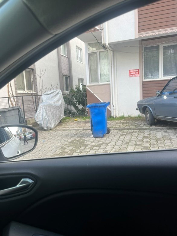 480552886 1147887660320840 5093550765710826973 N