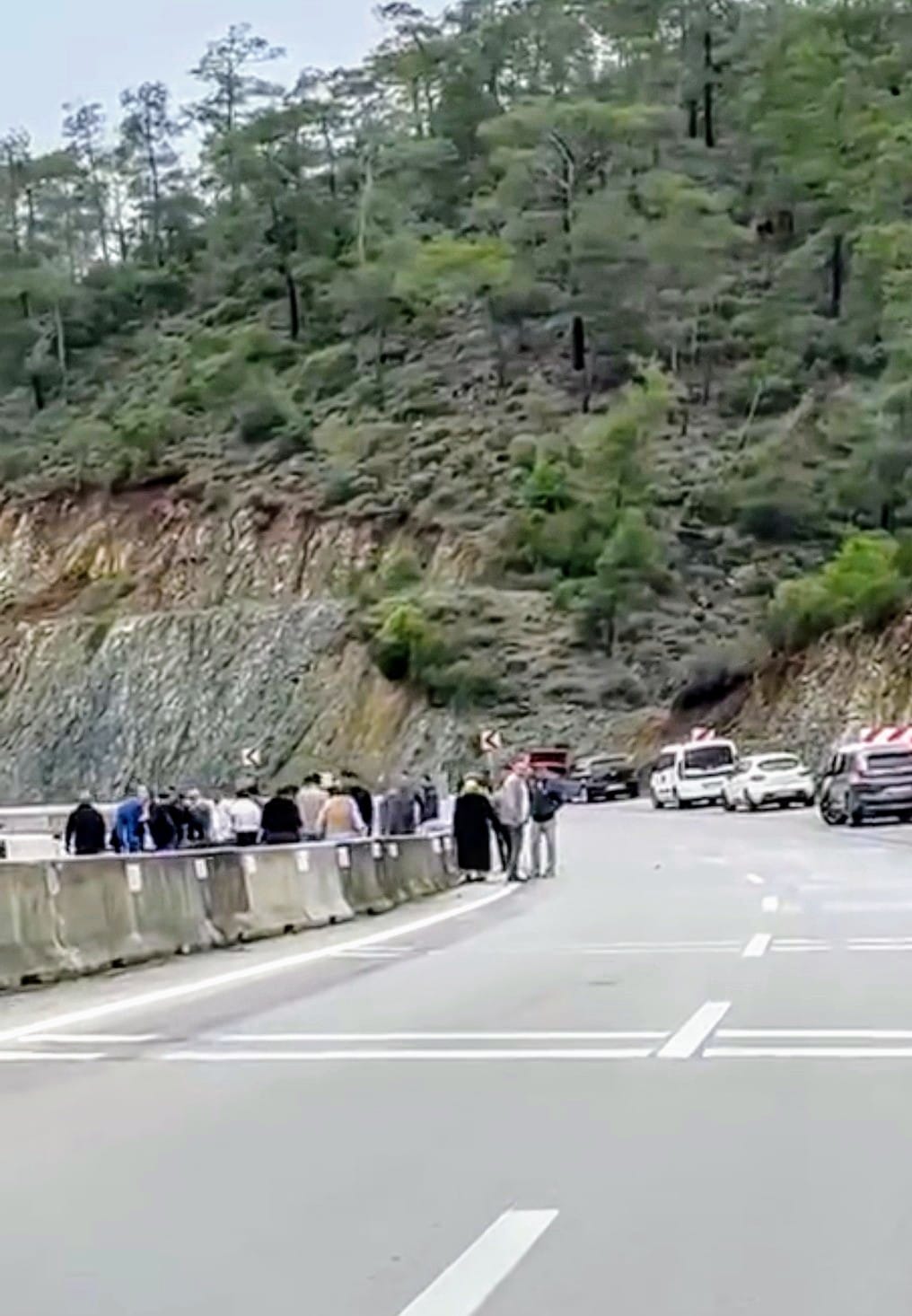 Aa7F3Eae A70D 477C 946E Bf6A9104E611