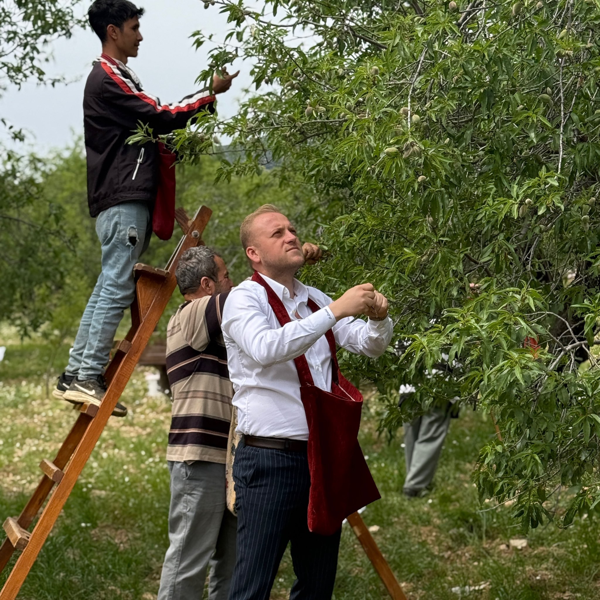 Gm4Z3 N Bo A A8H E S