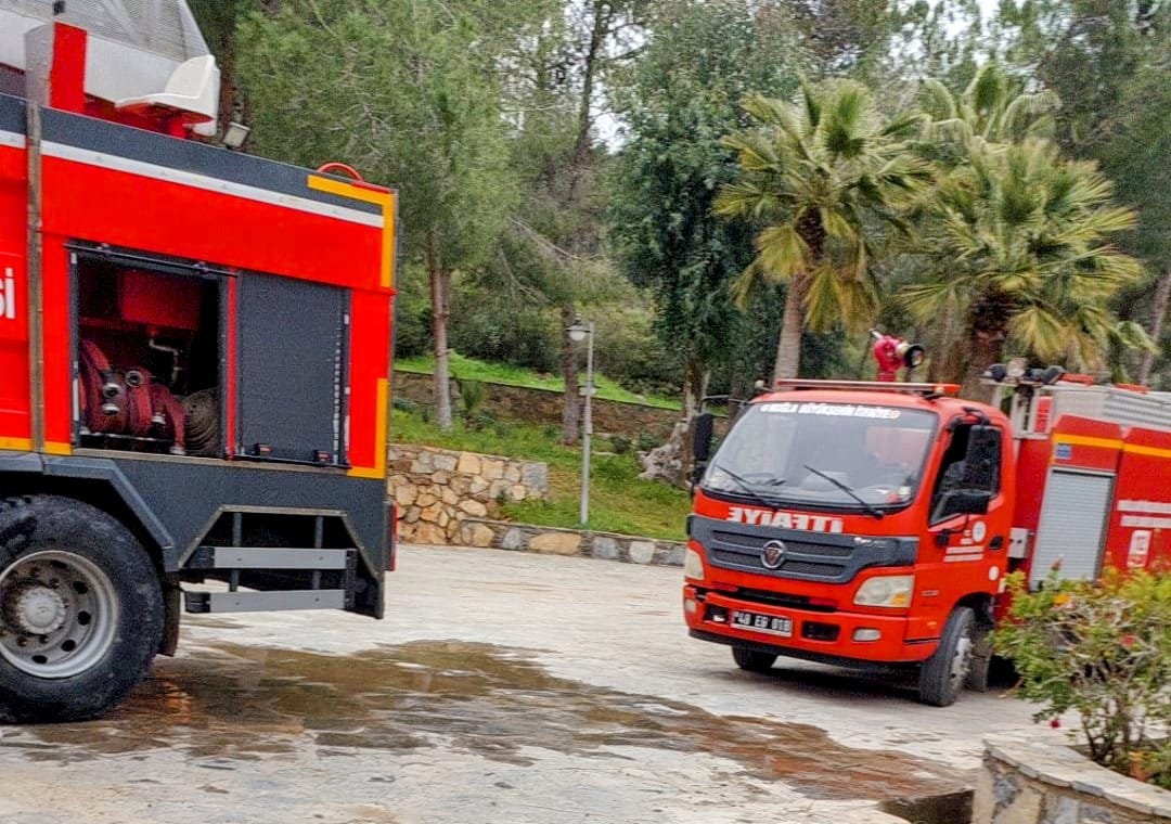 I M G 20250324 W A0097