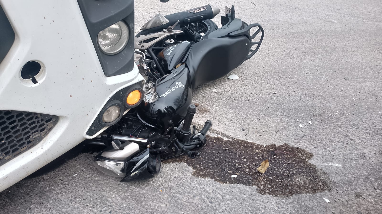 I M G 20250324 W A0131