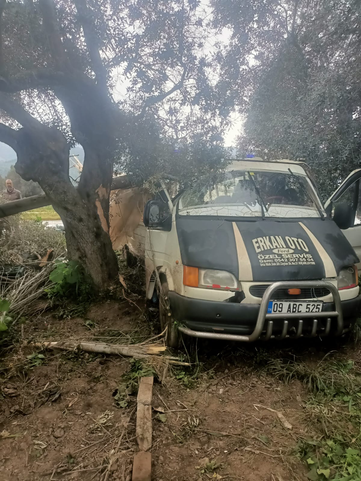 I M G 20250330 W A0051