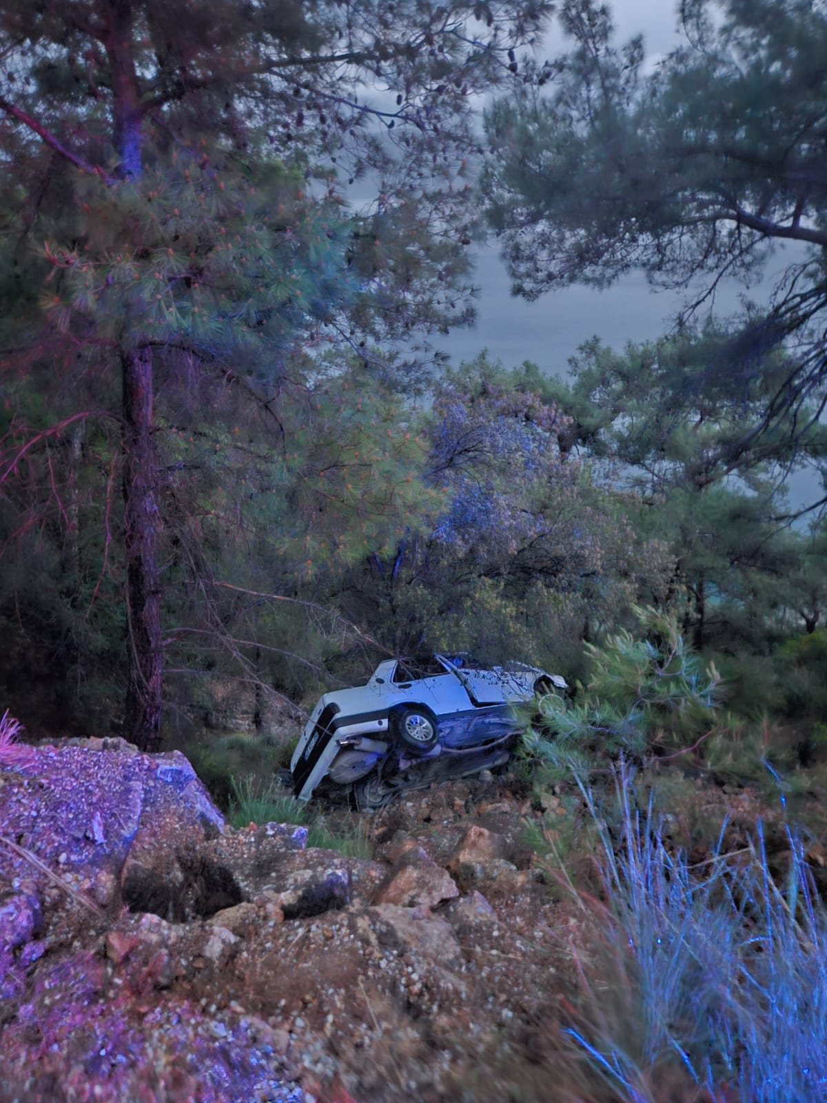 I M G 20250330 W A0055-1