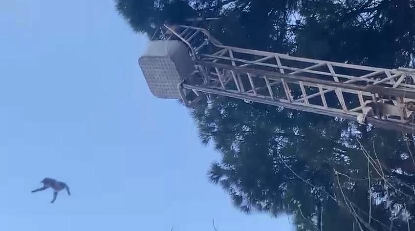 Whatsapp Görsel 2025 03 18 Saat 22.26.32 21216459