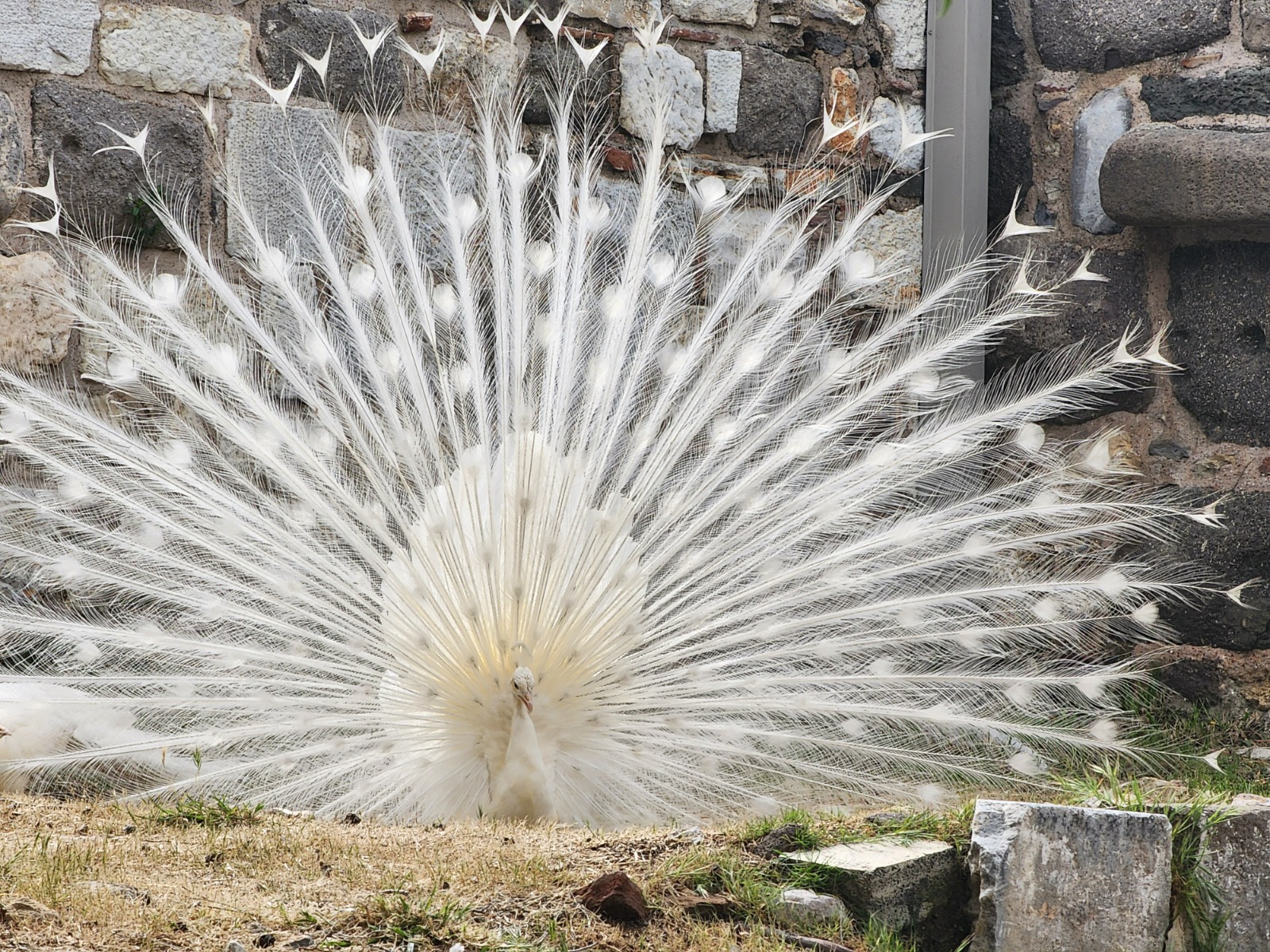 Whatsapp Görsel 2025 03 31 Saat 12.57.37 75Bfb449