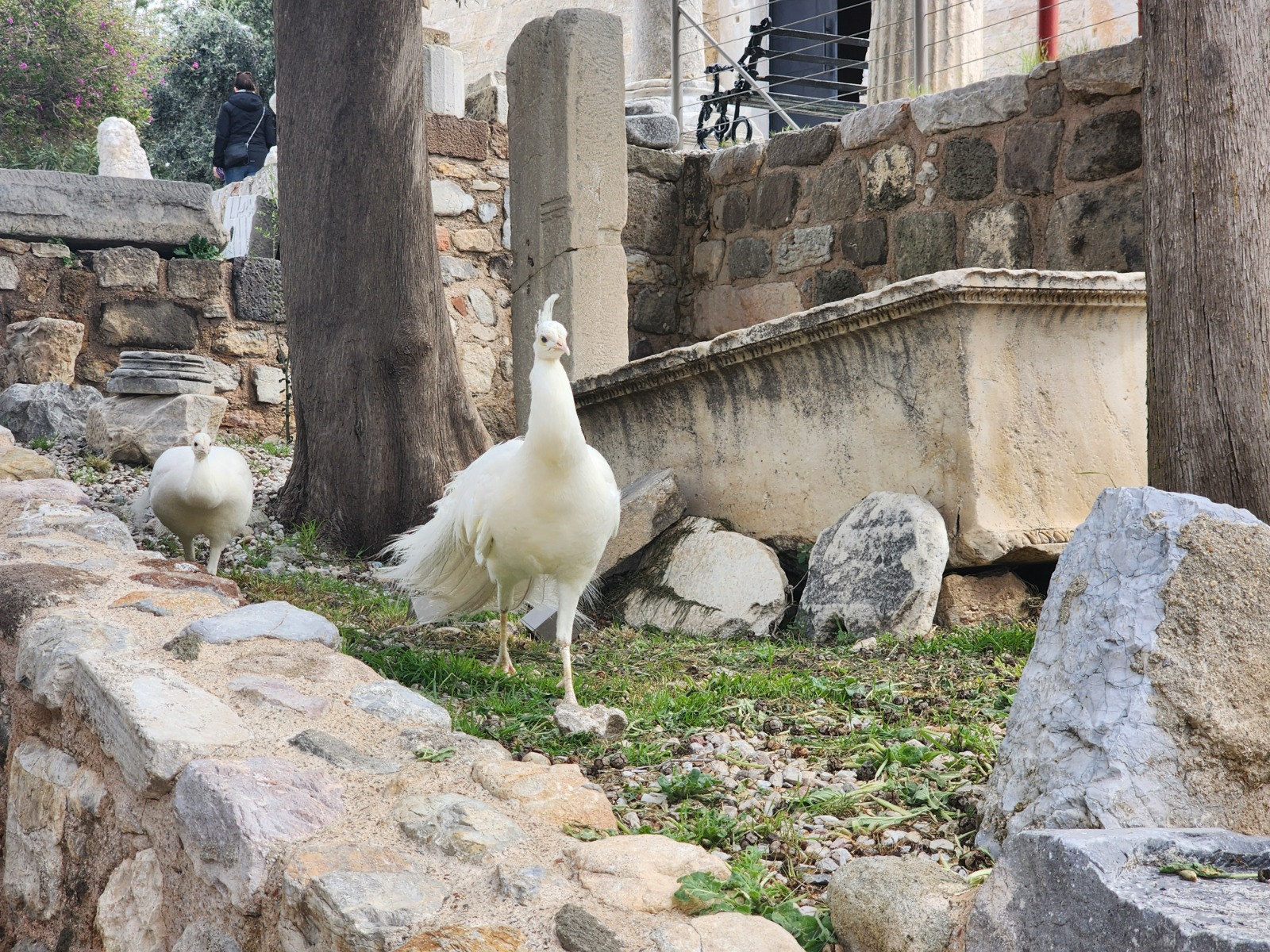 Whatsapp Görsel 2025 03 31 Saat 12.57.38 69Daff59