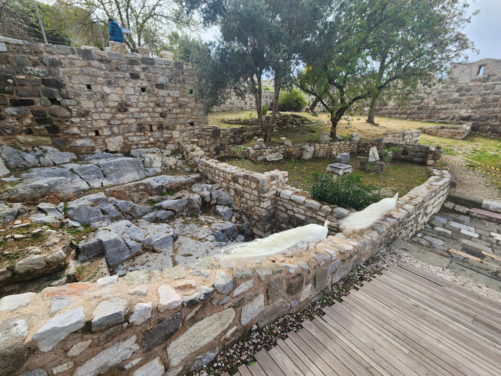 Whatsapp Görsel 2025 03 31 Saat 12.57.38 7E80415F