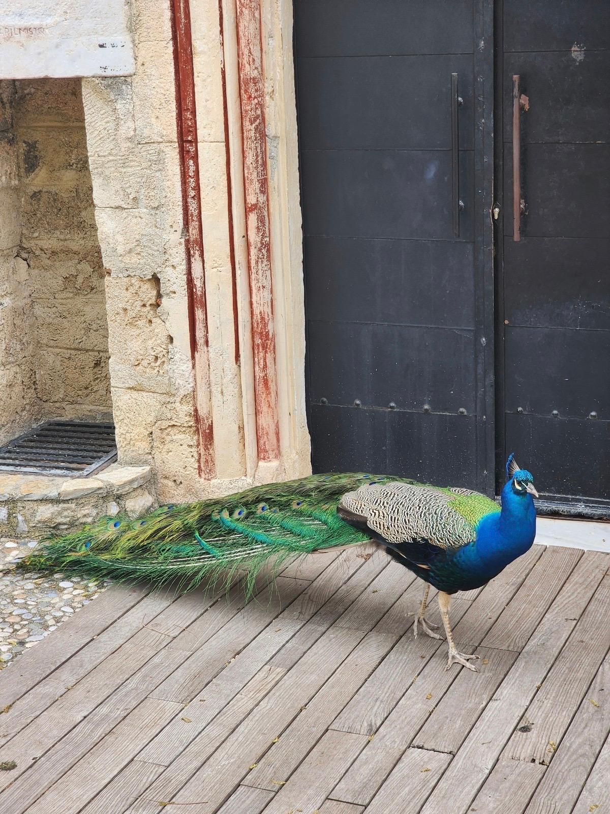 Whatsapp Görsel 2025 03 31 Saat 13.28.54 64090A43