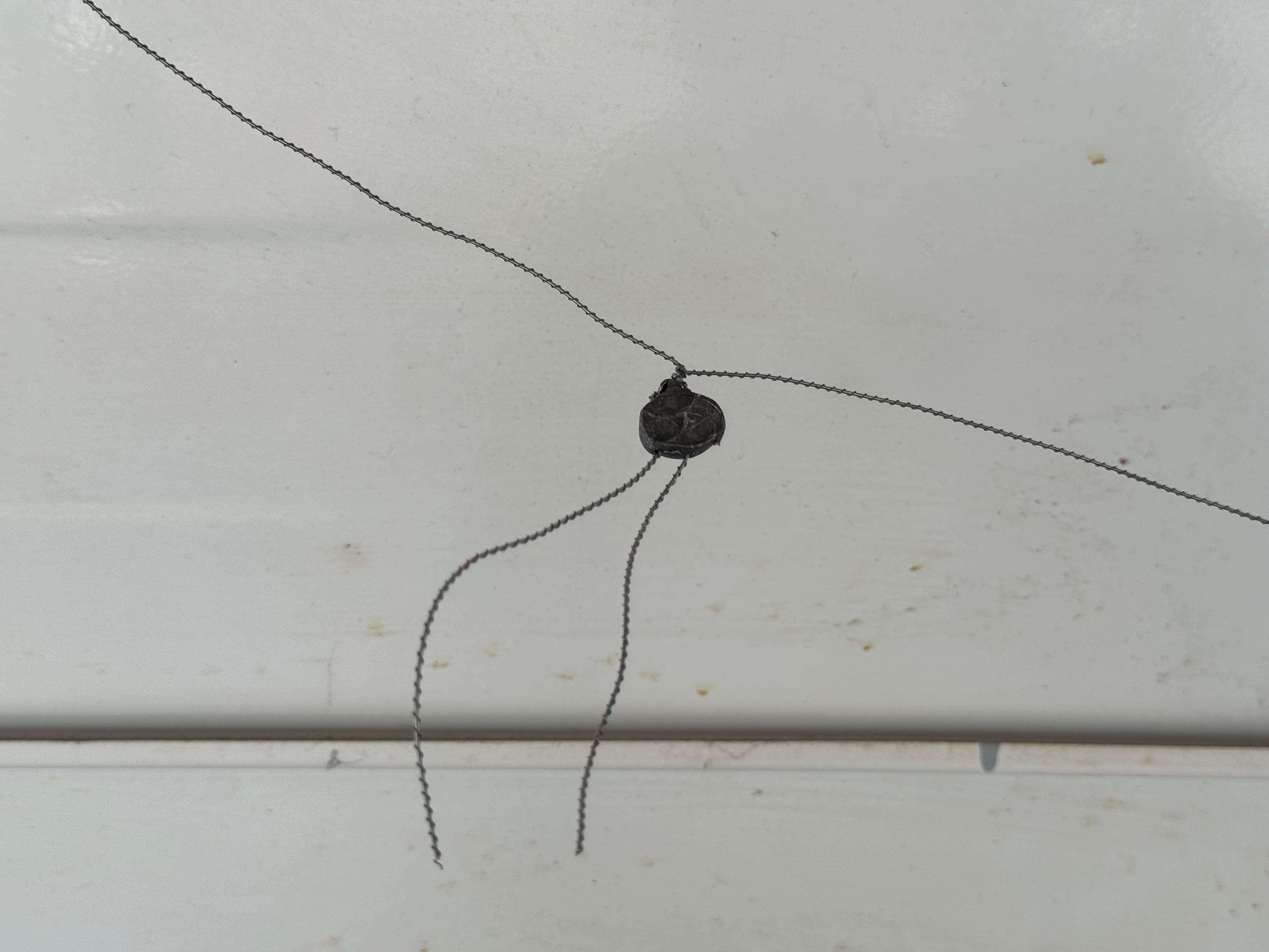 Whatsapp Image 2025 03 05 At 13.45.21