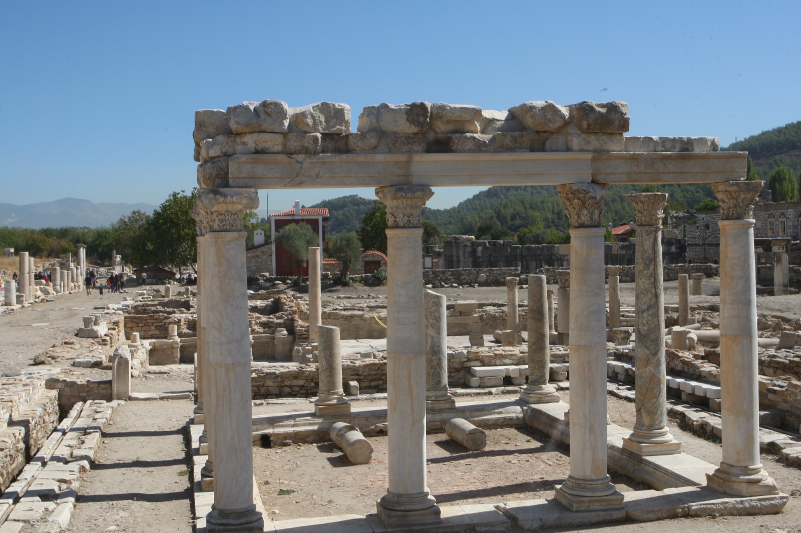 Whatsapp Image 2025 03 07 At 10.24.29 (1)