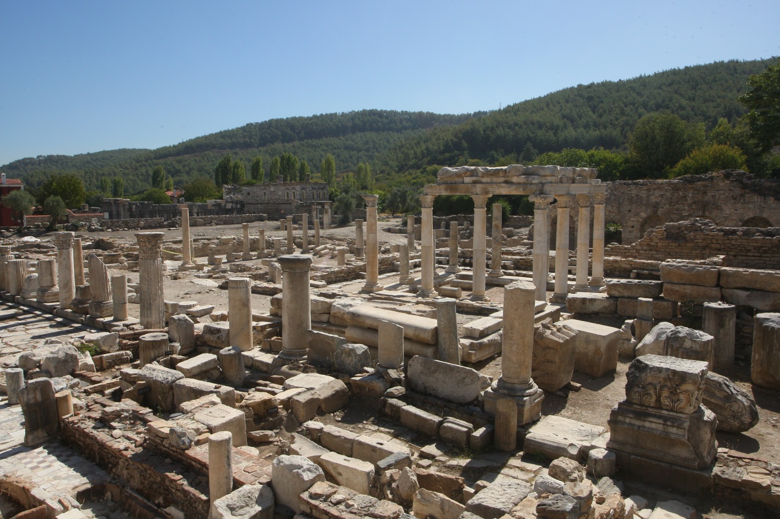 Whatsapp Image 2025 03 07 At 10.24.30